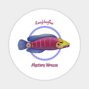 Mystery Wrasse Magnet